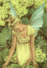 150x200_23[1].gif, 8 KB